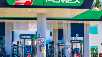 gasolina