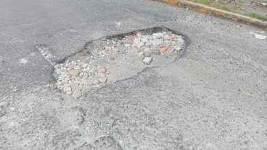 Baches