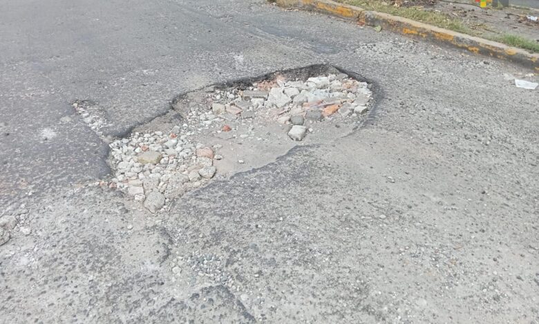 Baches