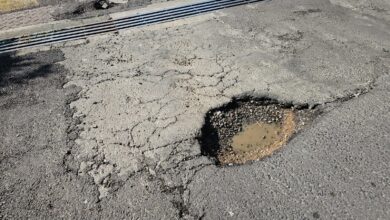 Baches
