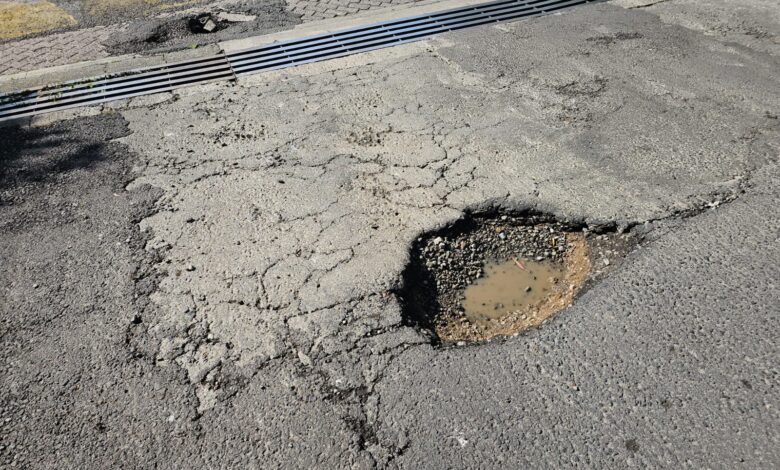 Baches