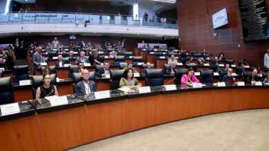 Senado