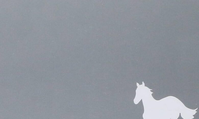 White Pony