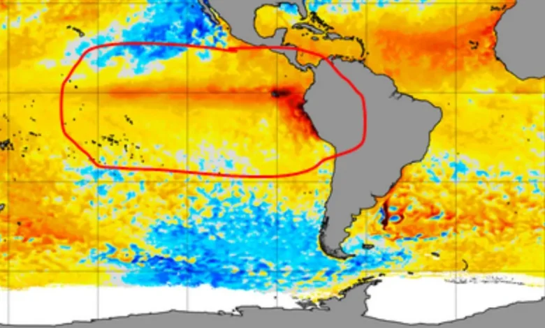 El niño