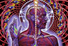 Lateralus