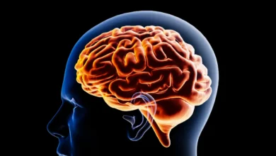 autoconsciencia