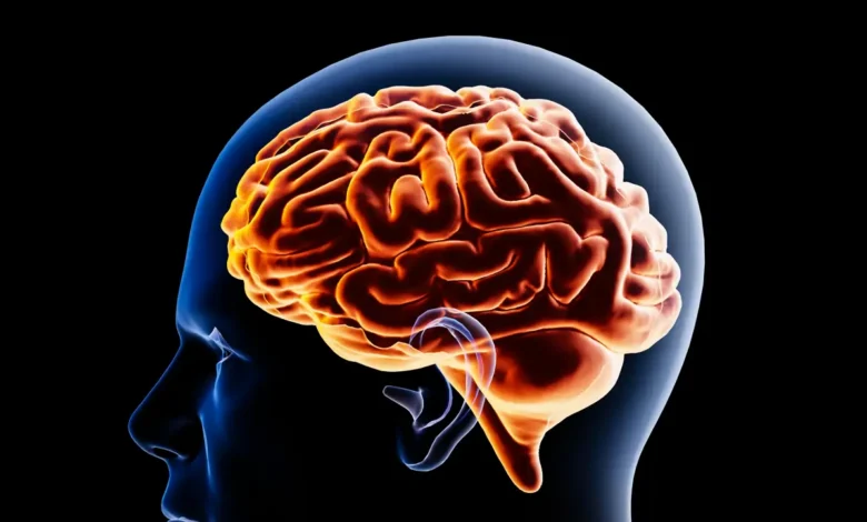 autoconsciencia
