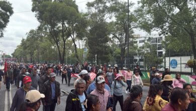 CNTE