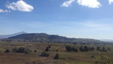 Zapotecas