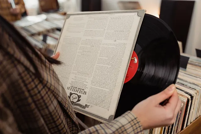 vinil