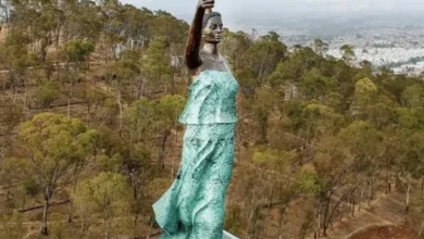 Amalucan
