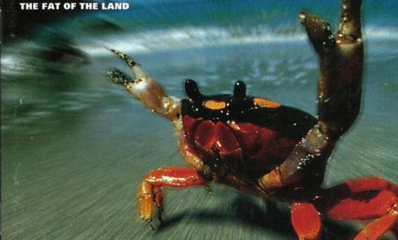 The fat of the land