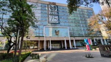 IMSS