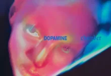 Dopamine Chamber - Fontaines D.C.