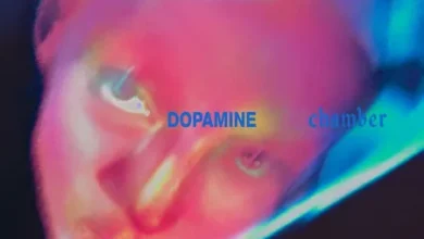 Dopamine Chamber - Fontaines D.C.