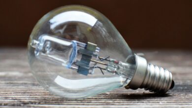 Luz
